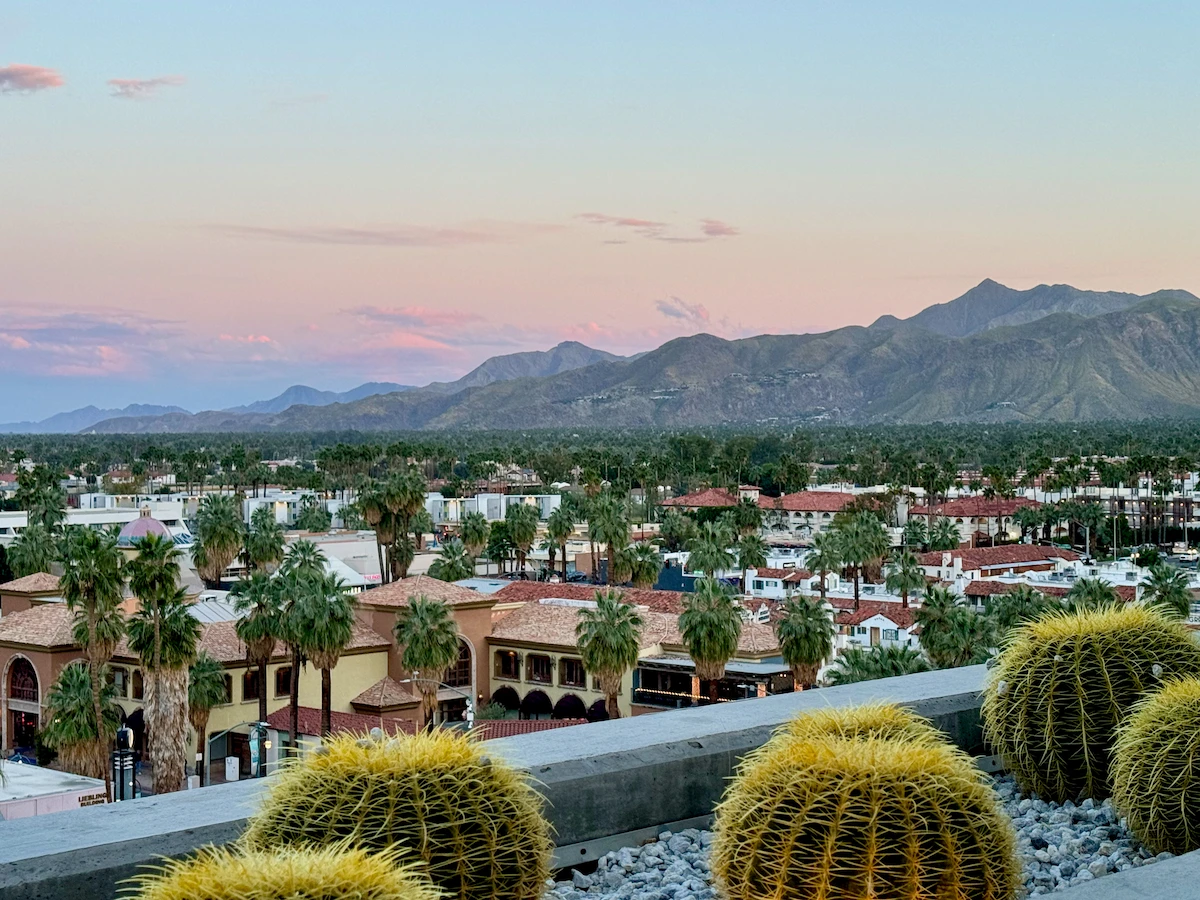 The San Jacinto mountains perched behind downtown Palm Springs in a fading sunset light. In the foreground is a planter of puffy, ball-shaped cacti.